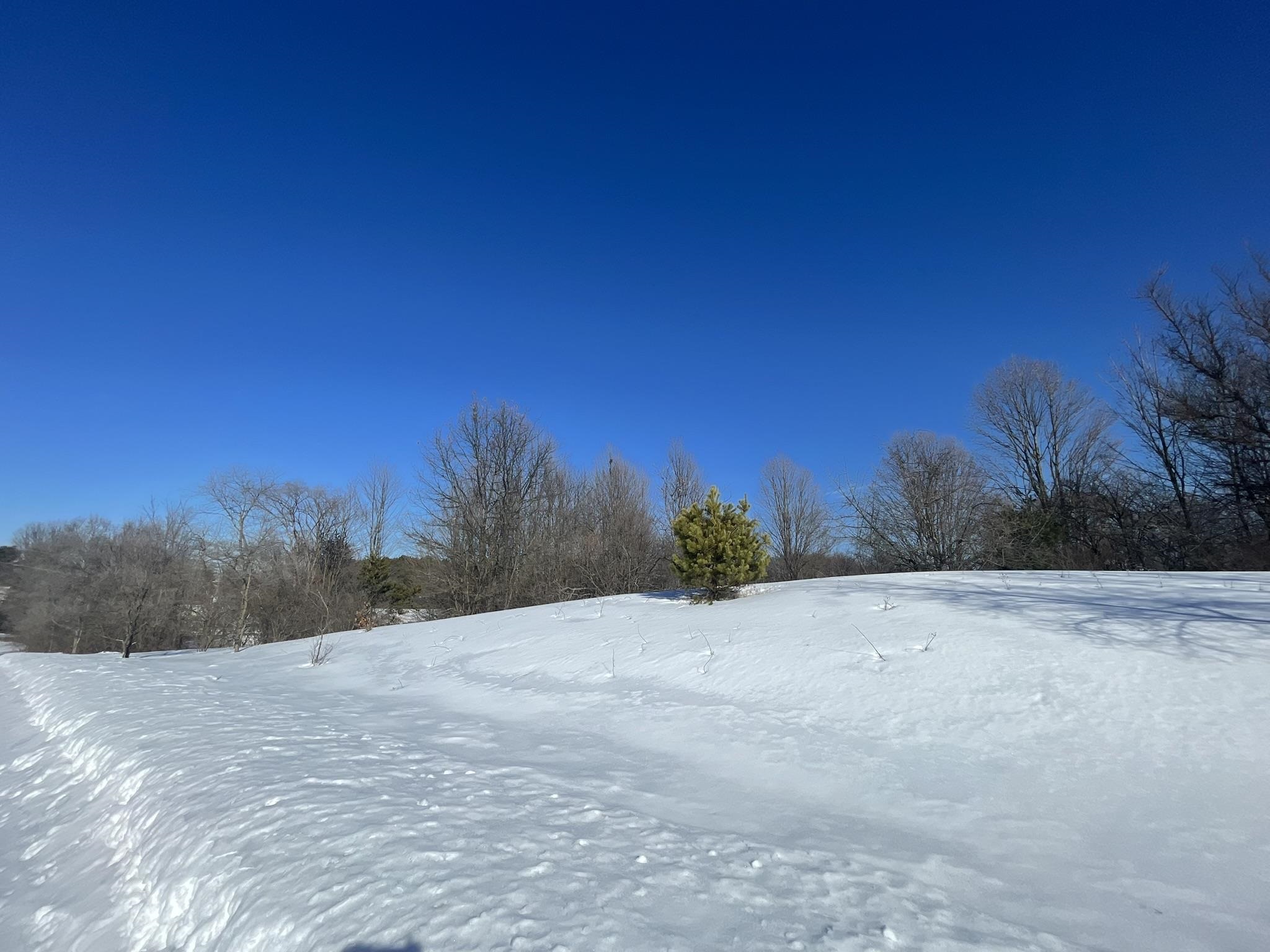 1.8+/- Acres Smith Road