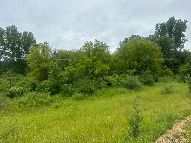 10.63(+/-) Acres Lapeer Road