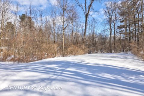 A home in VassarTownship_Tuscola