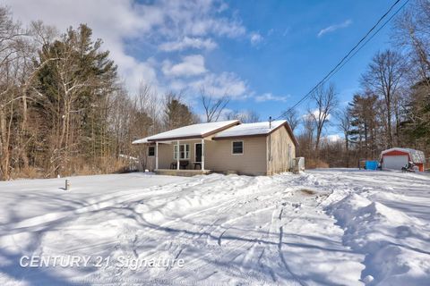A home in VassarTownship_Tuscola