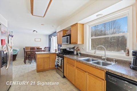 A home in VassarTownship_Tuscola