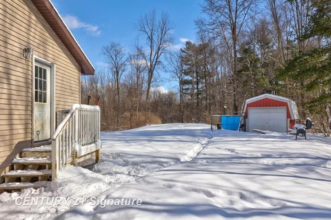 A home in VassarTownship_Tuscola