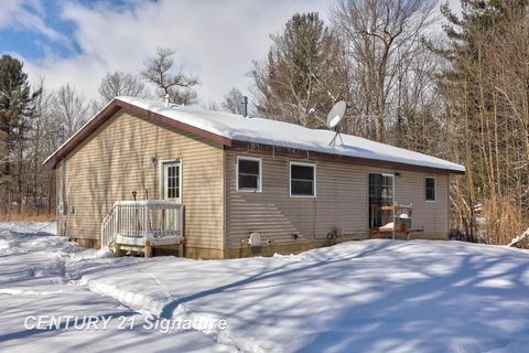 A home in VassarTownship_Tuscola
