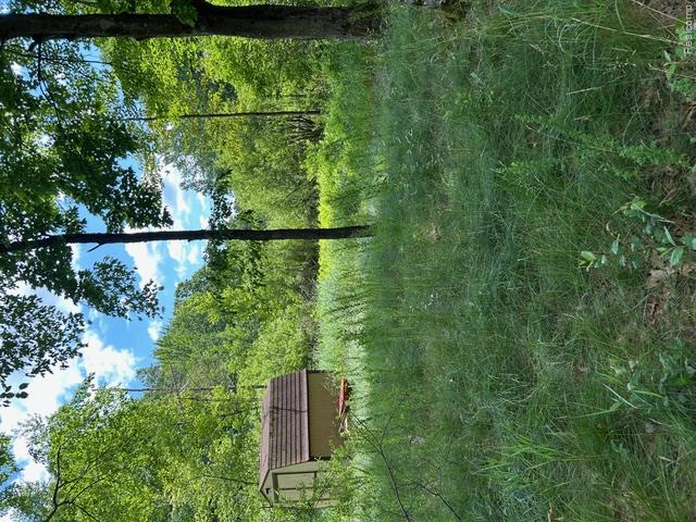 2221 #305 Grass Lake Avenue