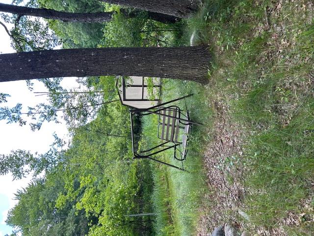 2221 #305 Grass Lake Avenue