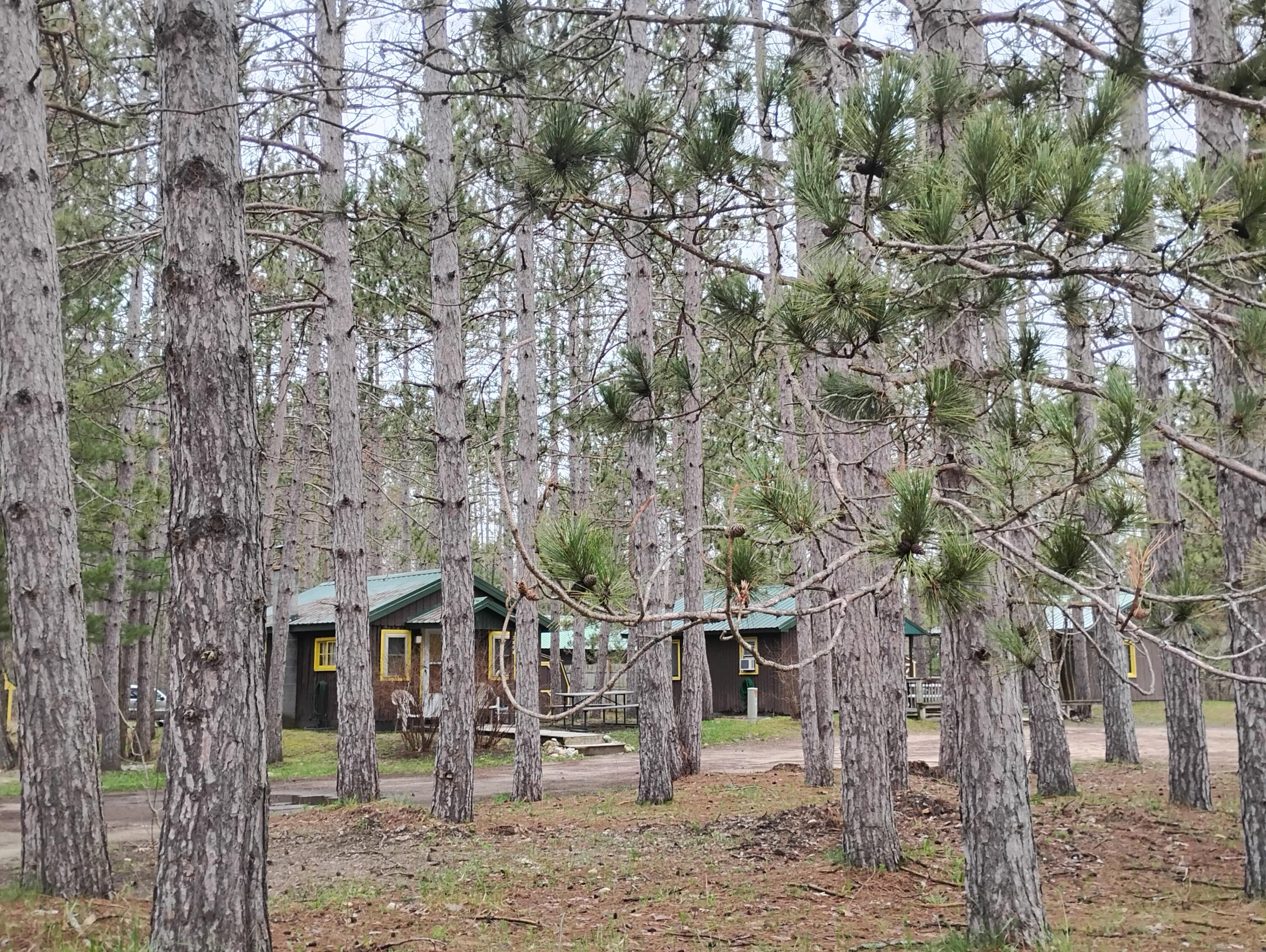 2960 Arbutus Hill Road