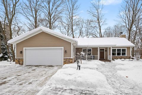 3672 118th Avenue Valley Township MI 49010