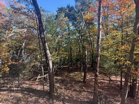 Tiny photo for 9200 S Oxeye Avenue, Lake Township, MI 49304 (MLS # 72026054499)