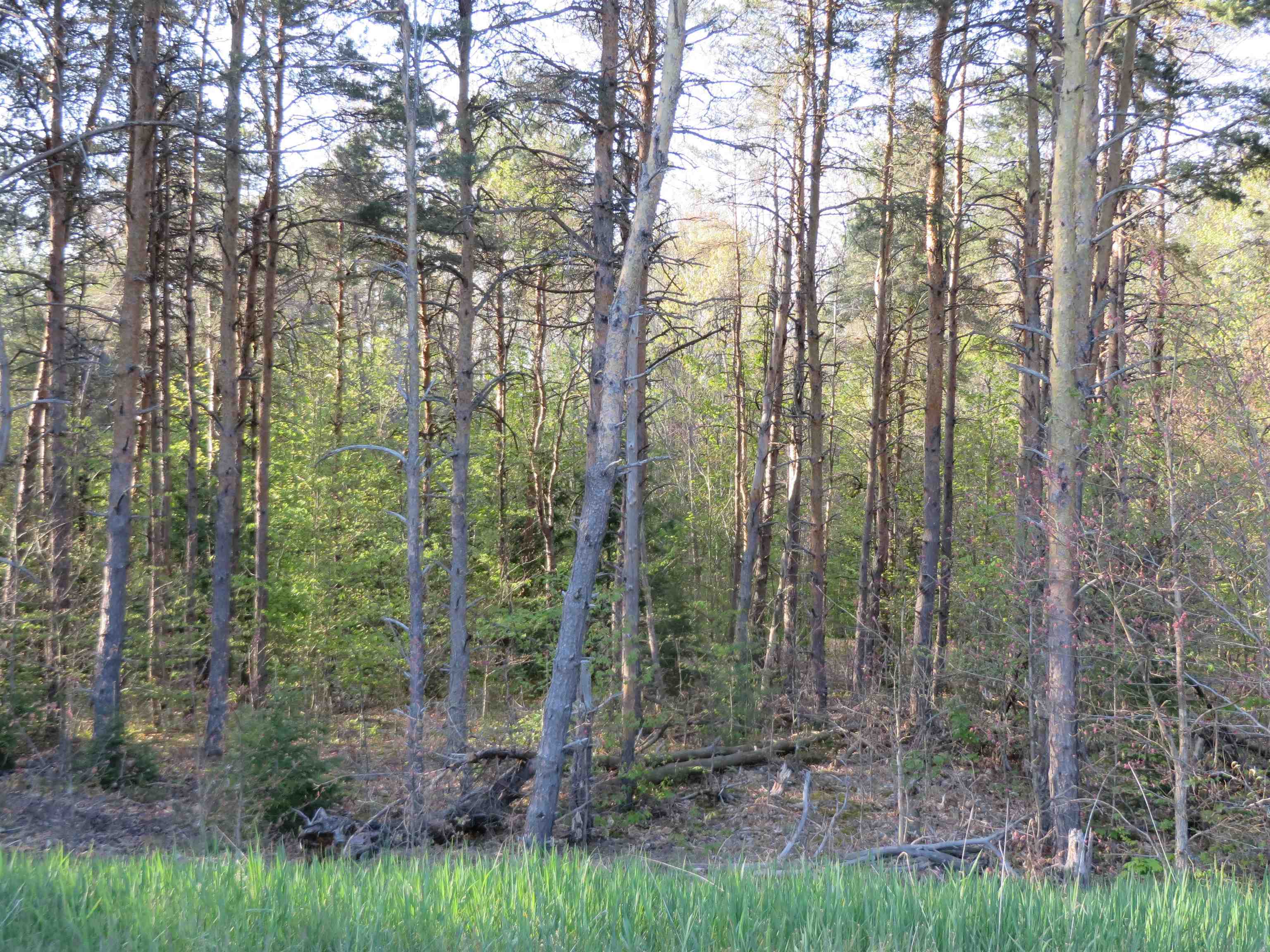 25 Hollowbrook Drive