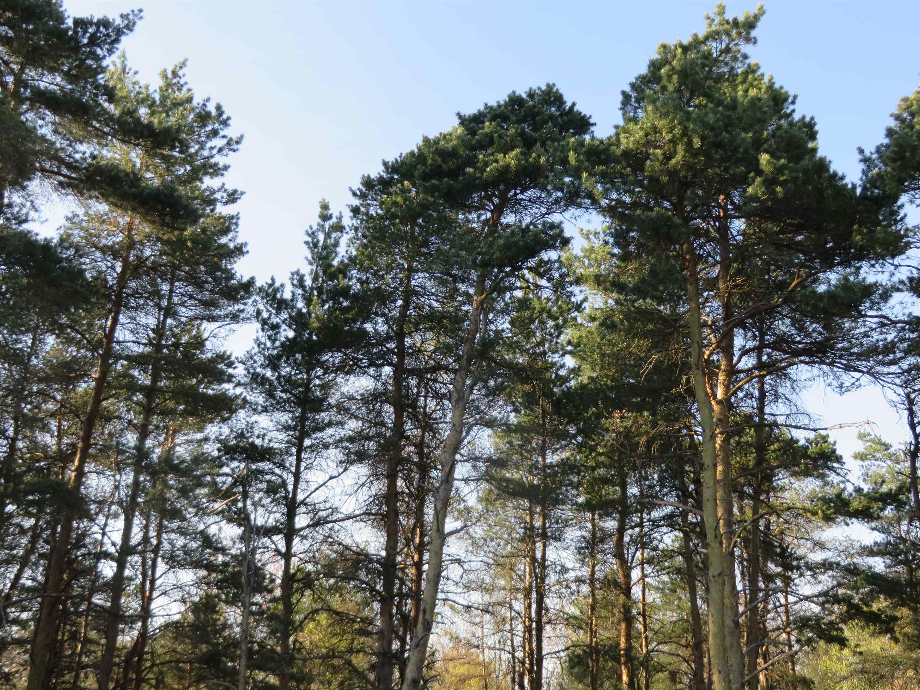 25 Hollowbrook Drive