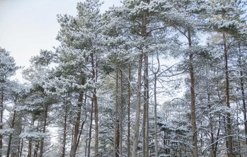 25 Hollowbrook Drive