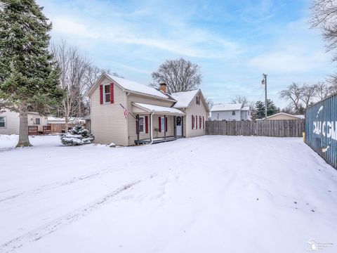 Photo of 196 E Walnut Street, Petersburg City, MI 49270 (MLS # 57050195909)