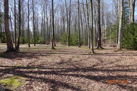 Tiny photo for 3780 ABBOTTSFORD Road, Clyde Township, MI 48049 (MLS # 58050203288)