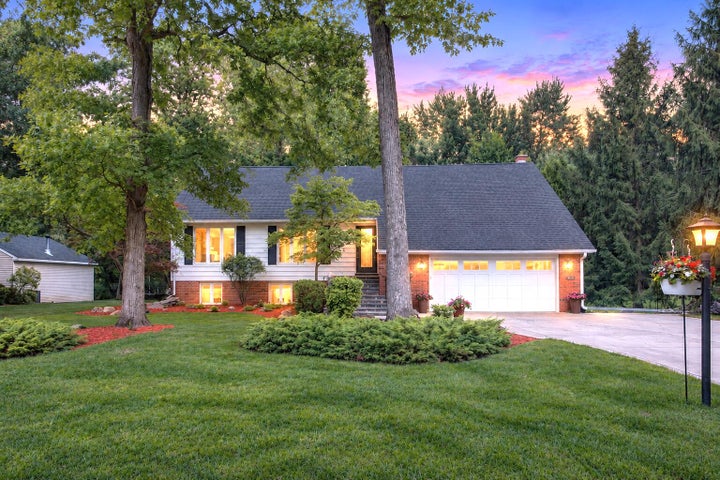 4788 Woodland Twilight