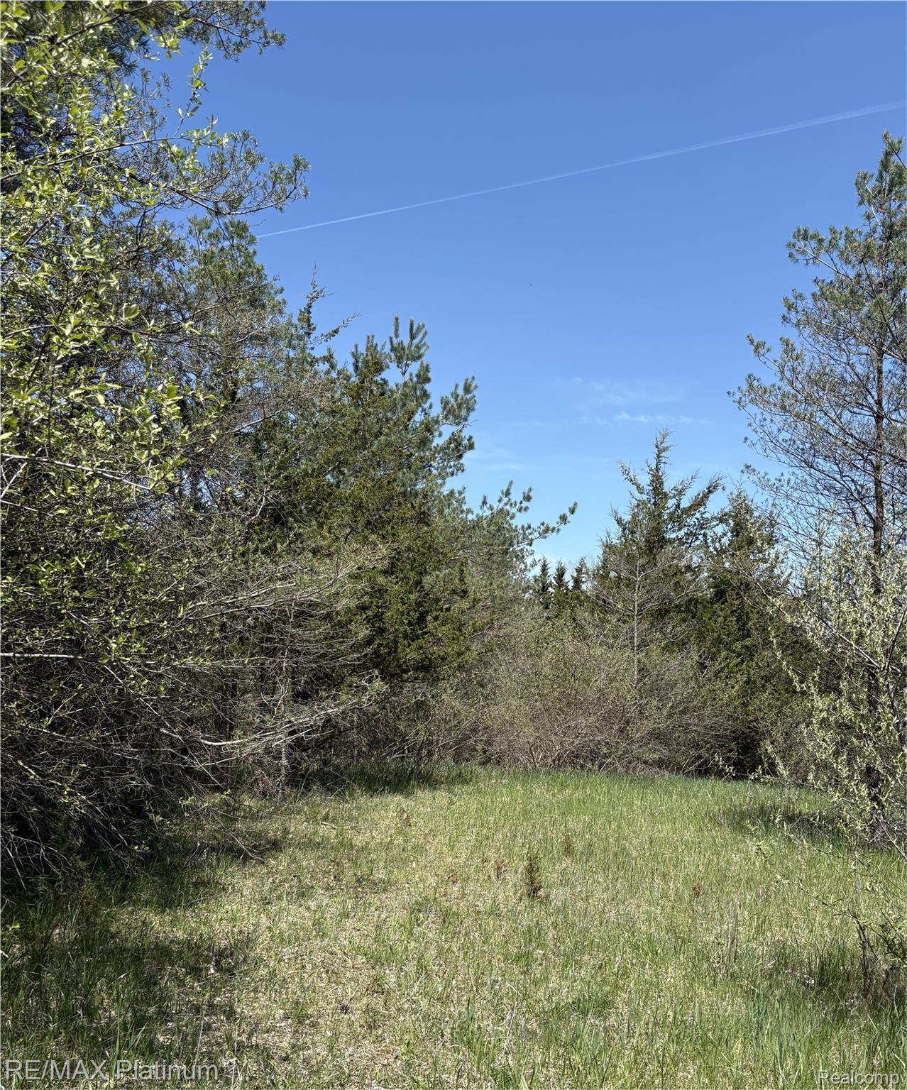 Parcel 3 Pineway Trail