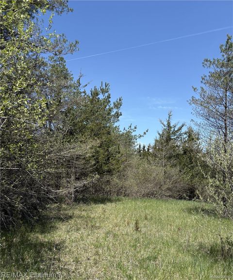 Parcel 3 Pineway Trail Howell Township MI 48855
