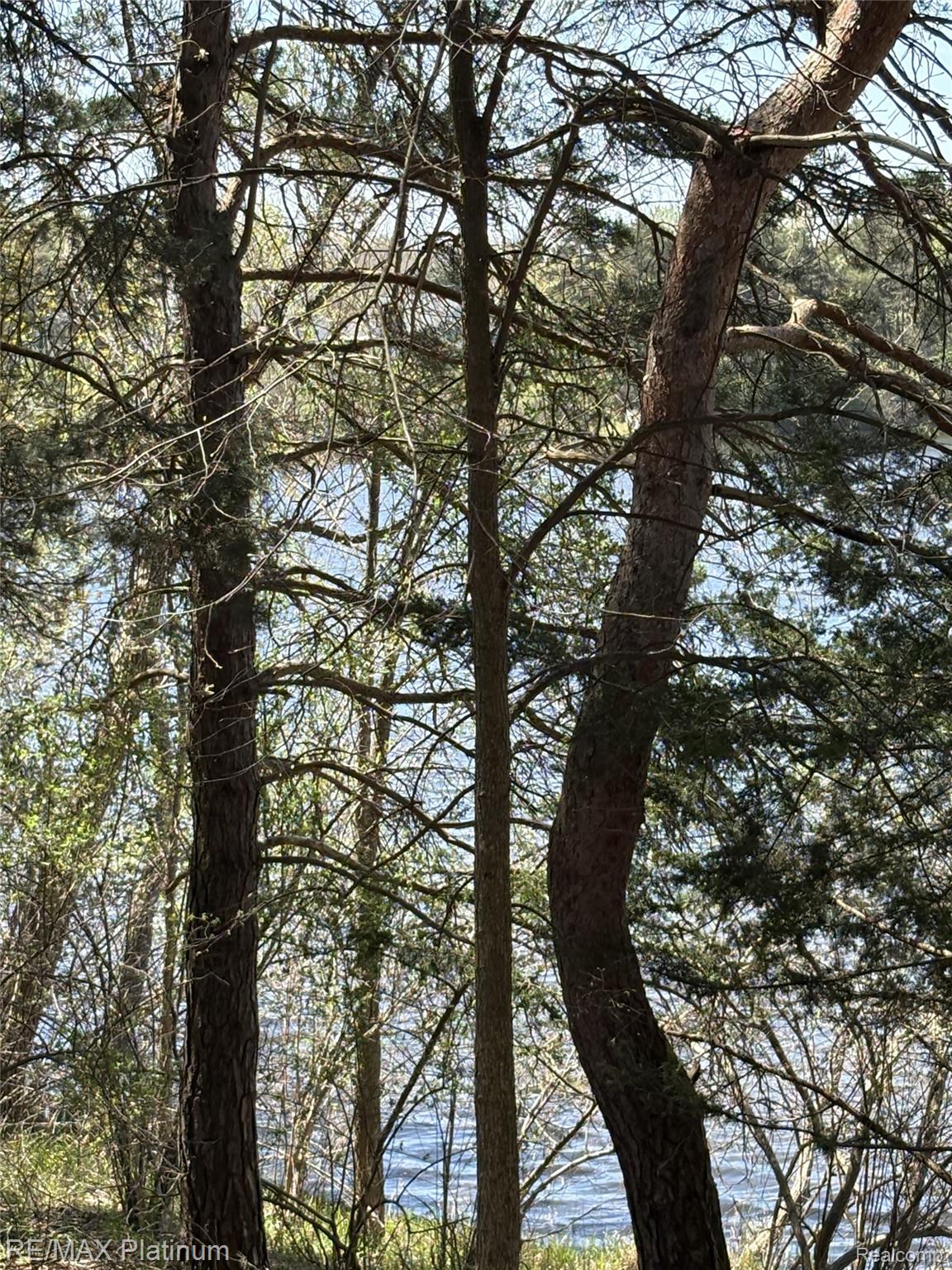 Parcel 3 Pineway Trail