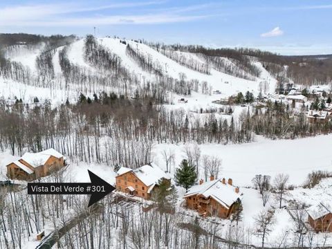 2050 W Schuss Mountain Drive Custer Township MI 49615