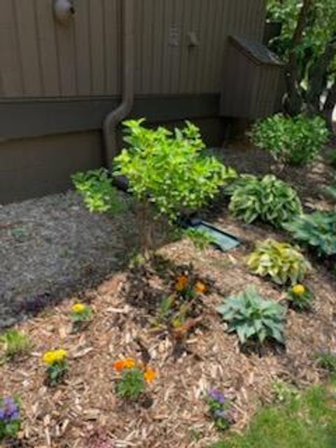 listing image 50
