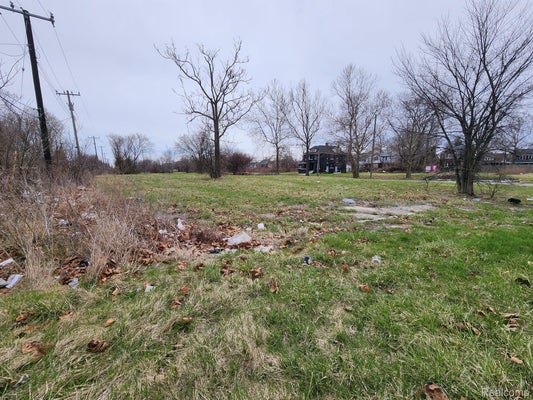 948 KITCHENER ST, DETROIT, MI 48215 - Image bb0c3fdd74fb0bbaffafa016d32b945c/2543593002