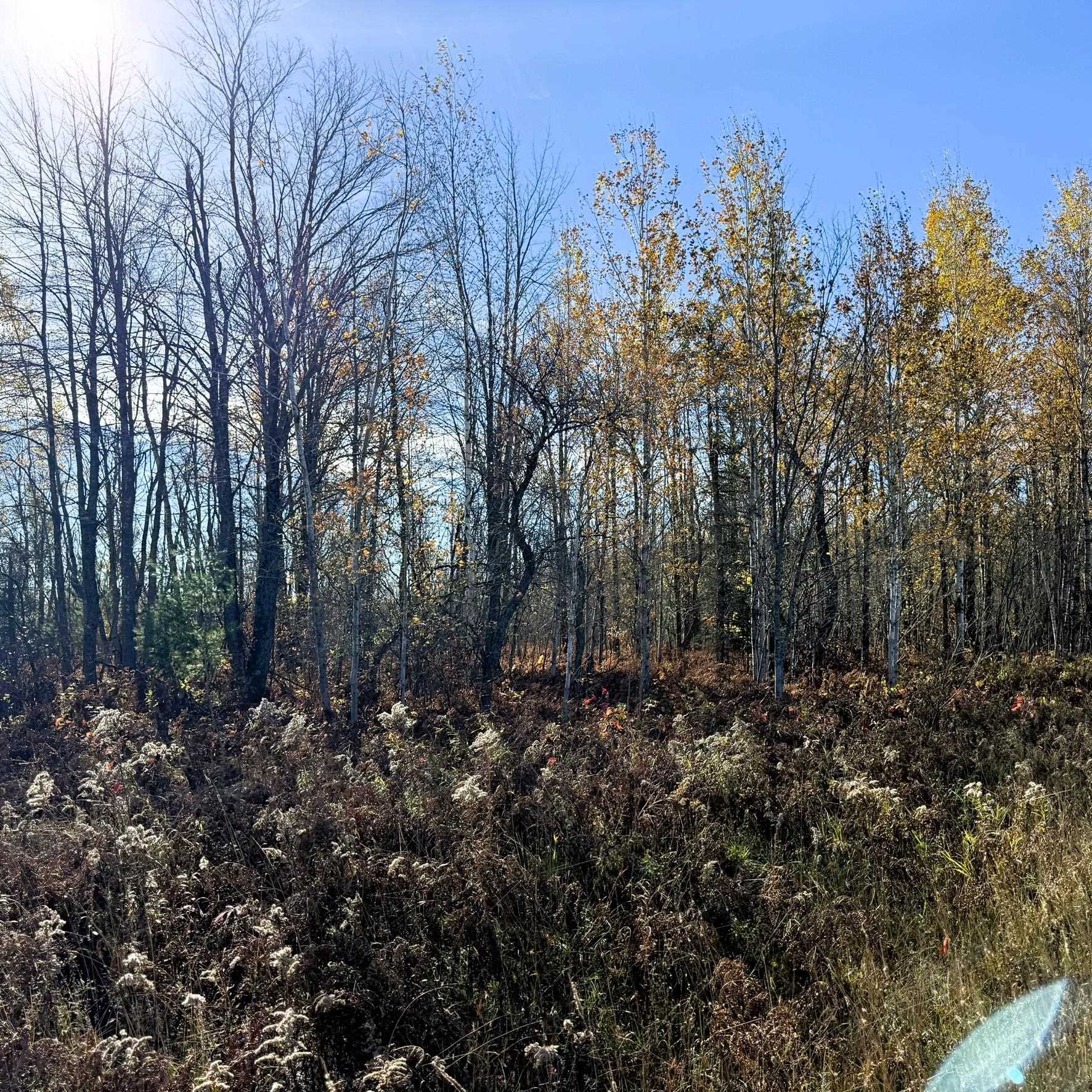 Lot 645 Renwick Circle