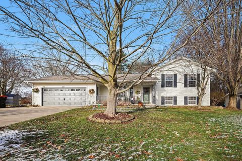 221 Glen Eagle Drive NE Rockford City MI 49341