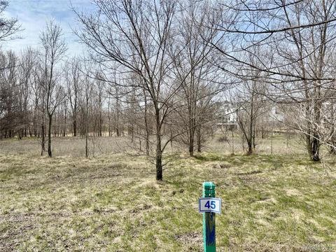 4448 Ford Avenue Fenton Charter Township MI 48451