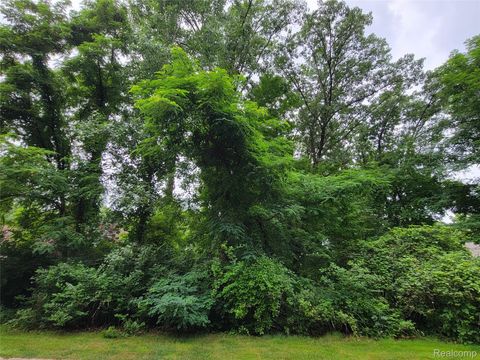 Lot 41 - Pinemont Hamburg Township MI 48116