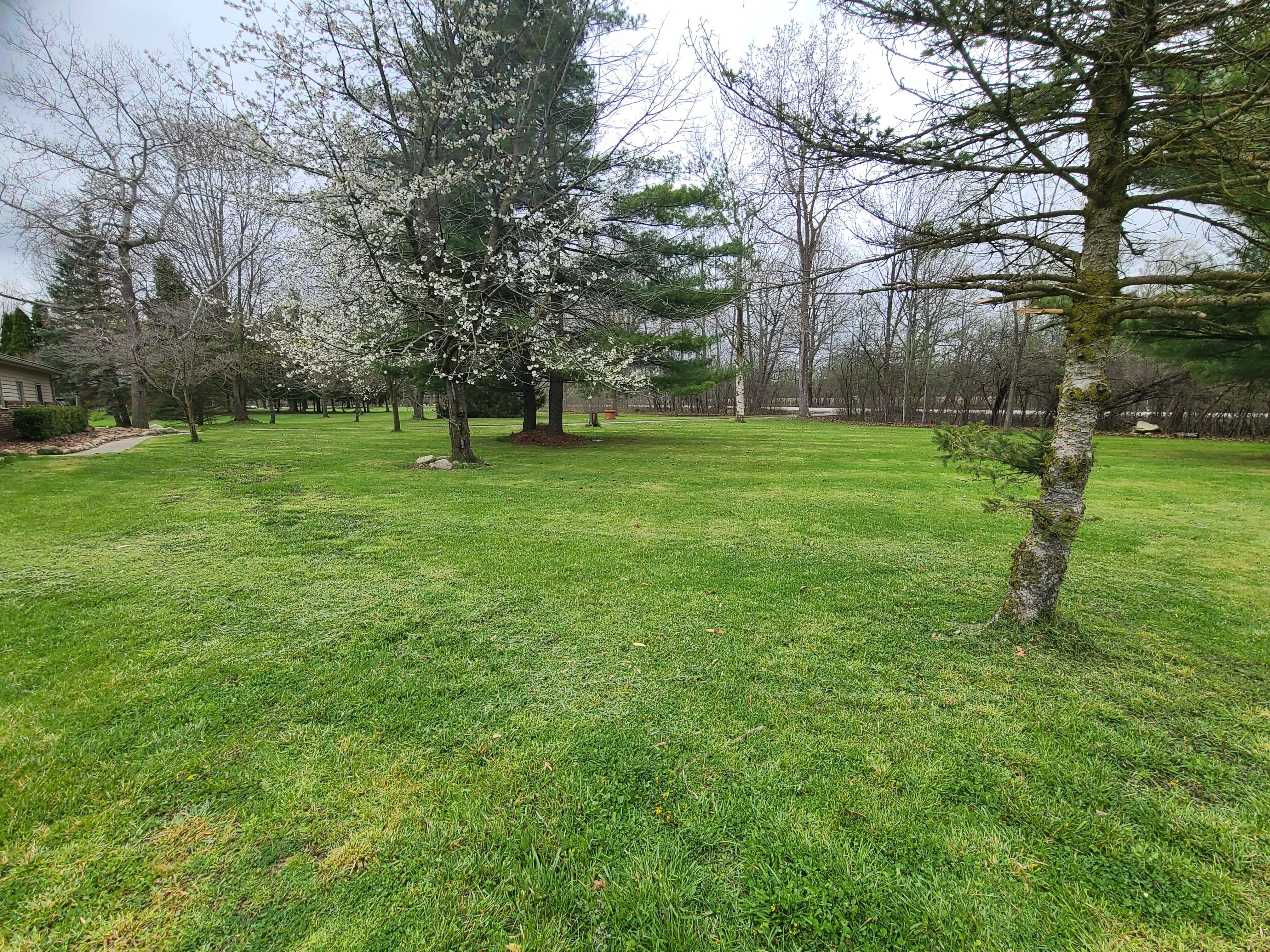 24800 DAYTON Road