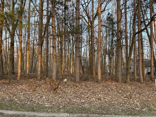 9127 PINEVIEW LAKE CT, LINDEN, MI 48451 - Image bbd4b9c6dc476a5716c8f3016bd028e2/1305186277