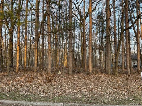 9127 Pineview Lake Argentine Township MI 48451