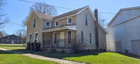 121 E St Joe Street Litchfield City MI 49252