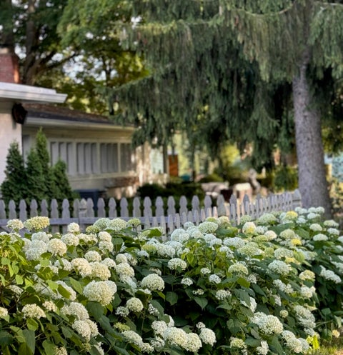 Tiny photo for 3480 Blue Star Highway, Saugatuck Township, MI 49453 (MLS # 71026055858)