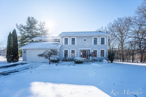 7003 Country View Boulevard Napoleon Township MI 49201