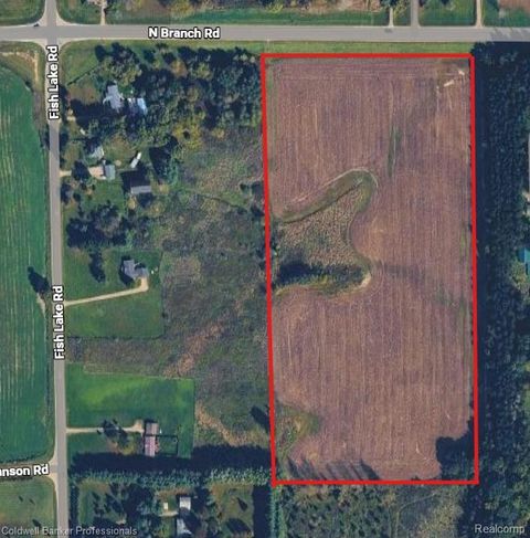 VL N Branch Road Deerfield Township MI 48461