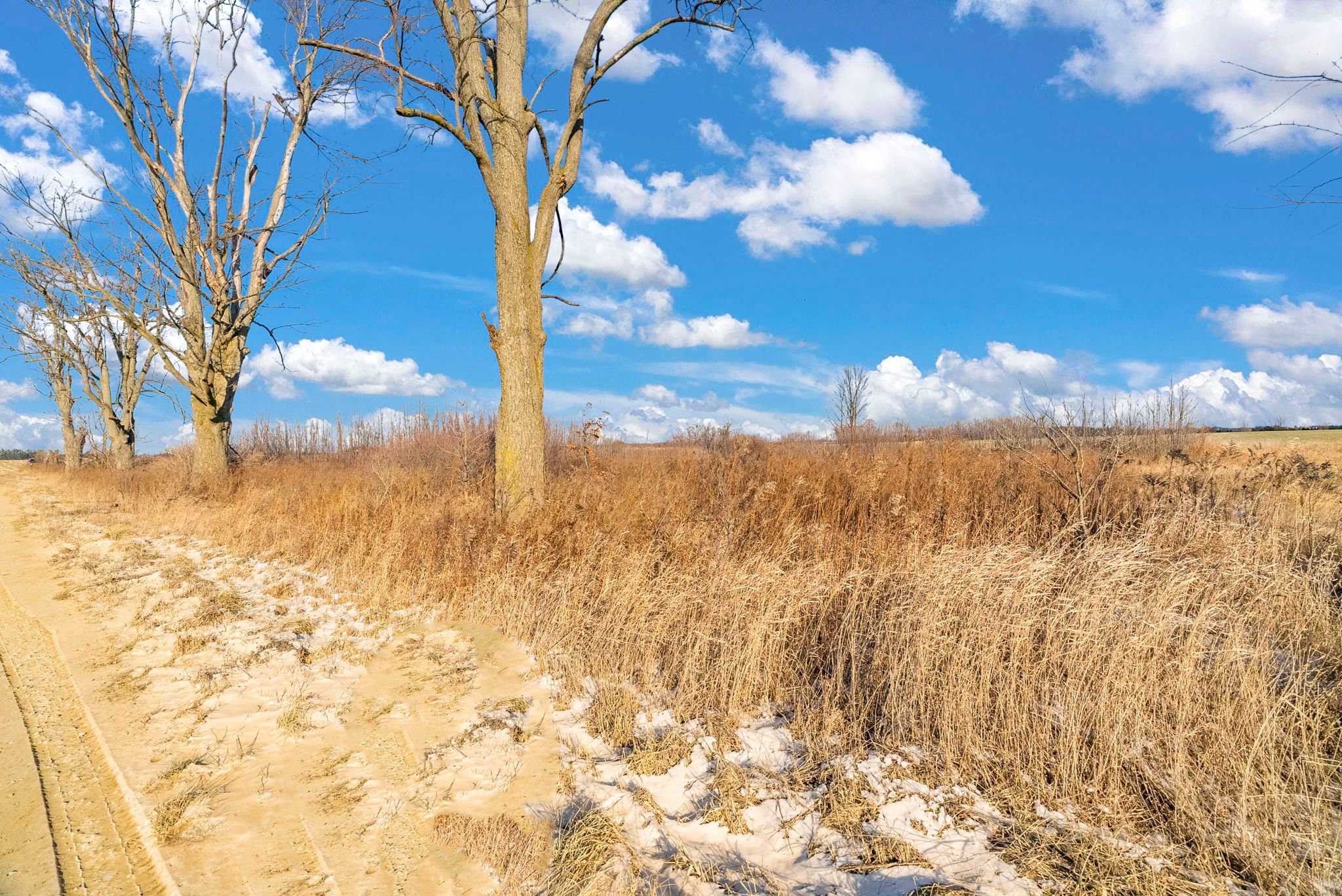 Peck, Michigan 48466, United States, 3 Bedrooms Bedrooms, ,2 BathroomsBathrooms,Residential,Active,15604