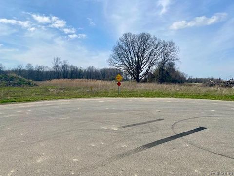 0005C Daisy Lane Almont Township MI 48003