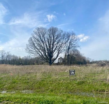 DAY ST, ALMONT, MI 48003 - Image bd398bf8b4e652faef64577287e1da6a/674925522