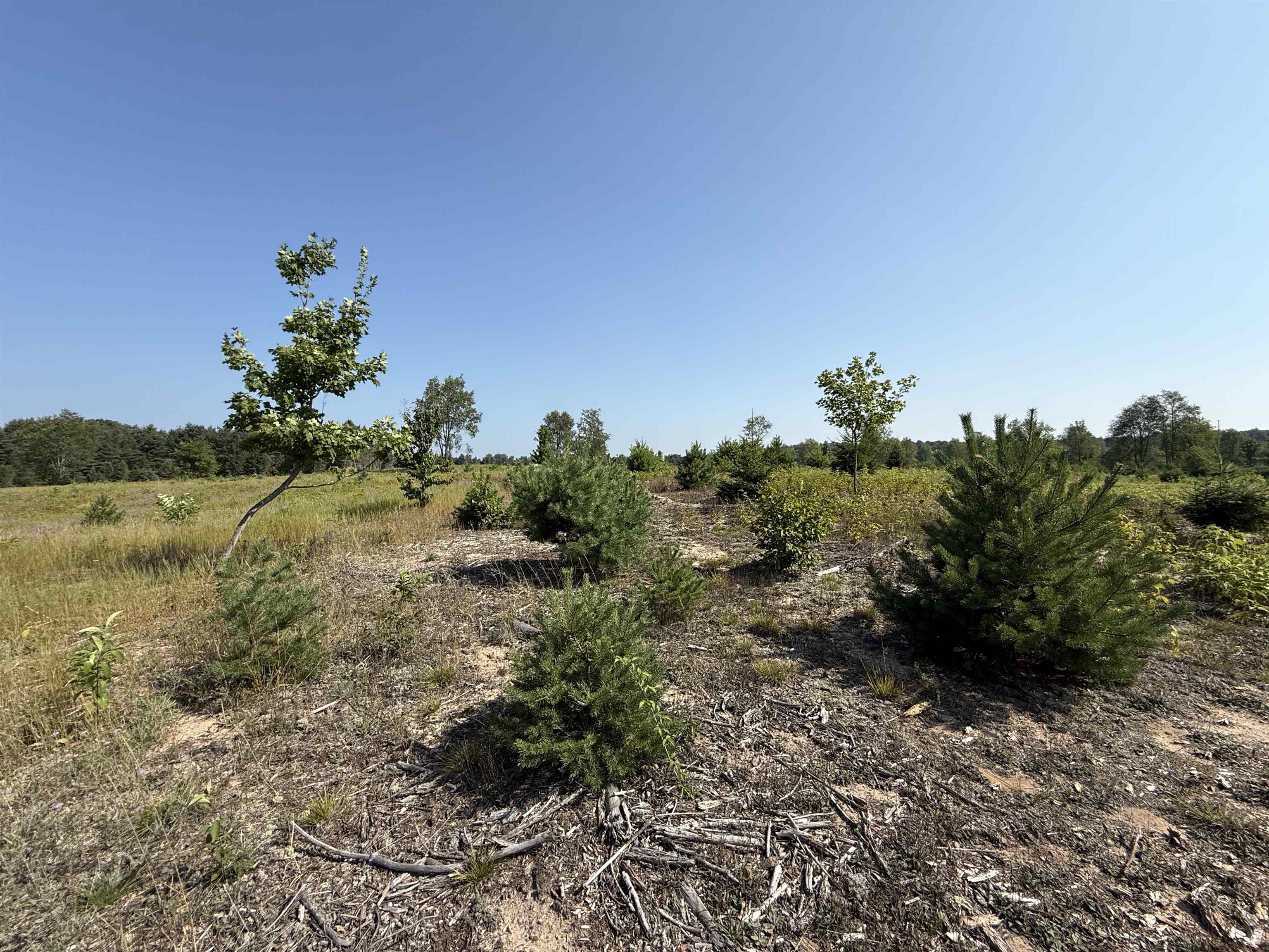 Parcel A7 S Bright Road