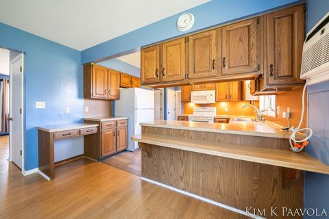 Tiny photo for 260 Vine Street SE, Caledonia Village, MI 49316 (MLS # 65026009855)