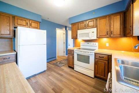 Tiny photo for 260 Vine Street SE, Caledonia Village, MI 49316 (MLS # 65026009855)