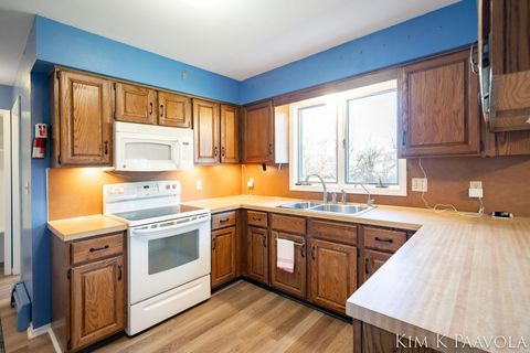 Tiny photo for 260 Vine Street SE, Caledonia Village, MI 49316 (MLS # 65026009855)