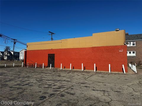 8501 Mount Elliott Street Detroit City MI 48211