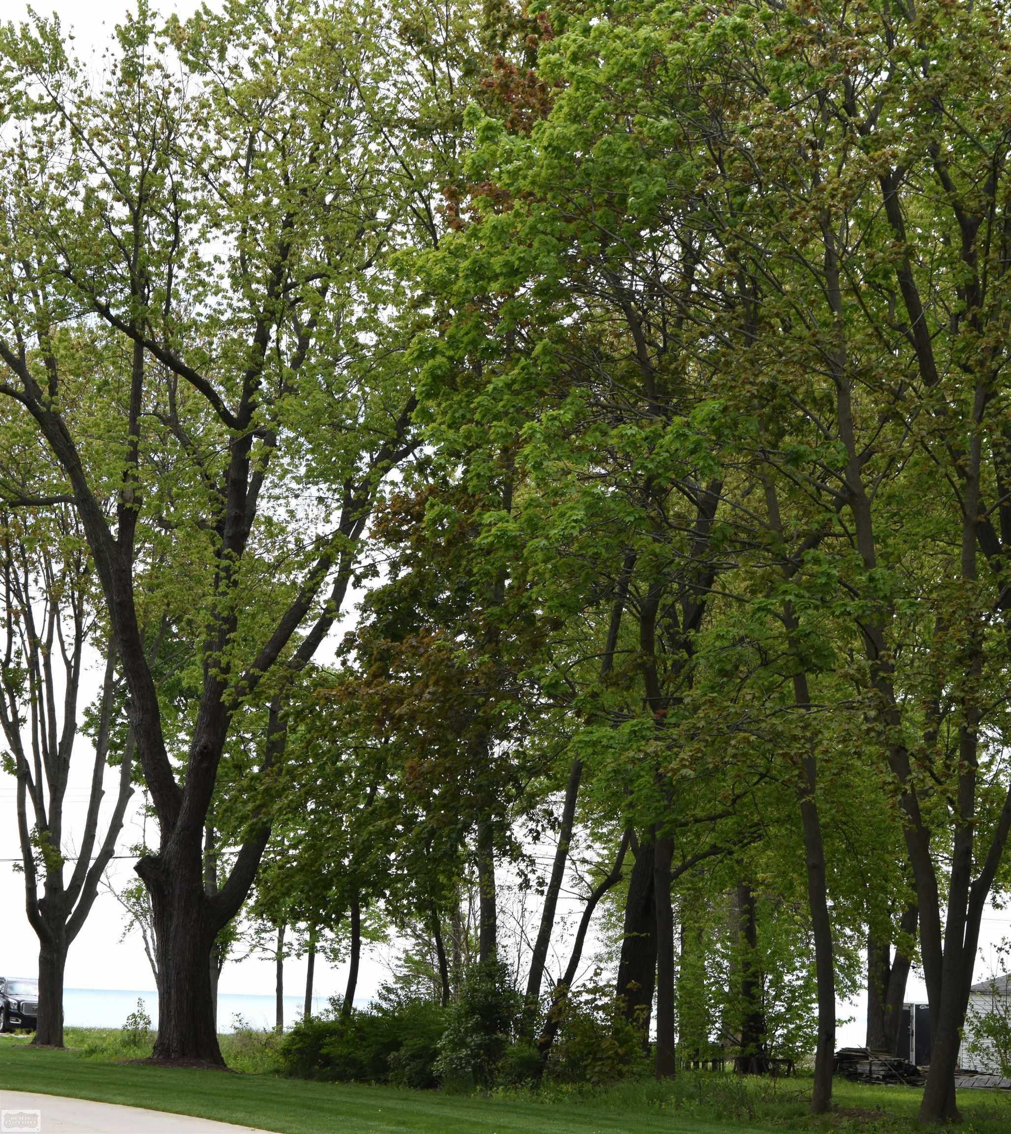 38199 Murdicks Drive