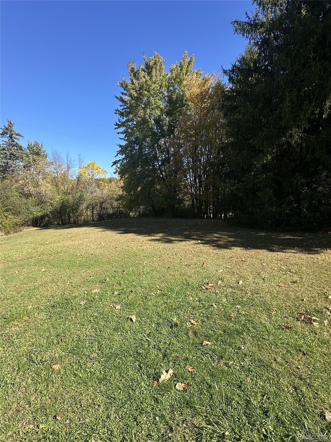 1161 7 Mile Road