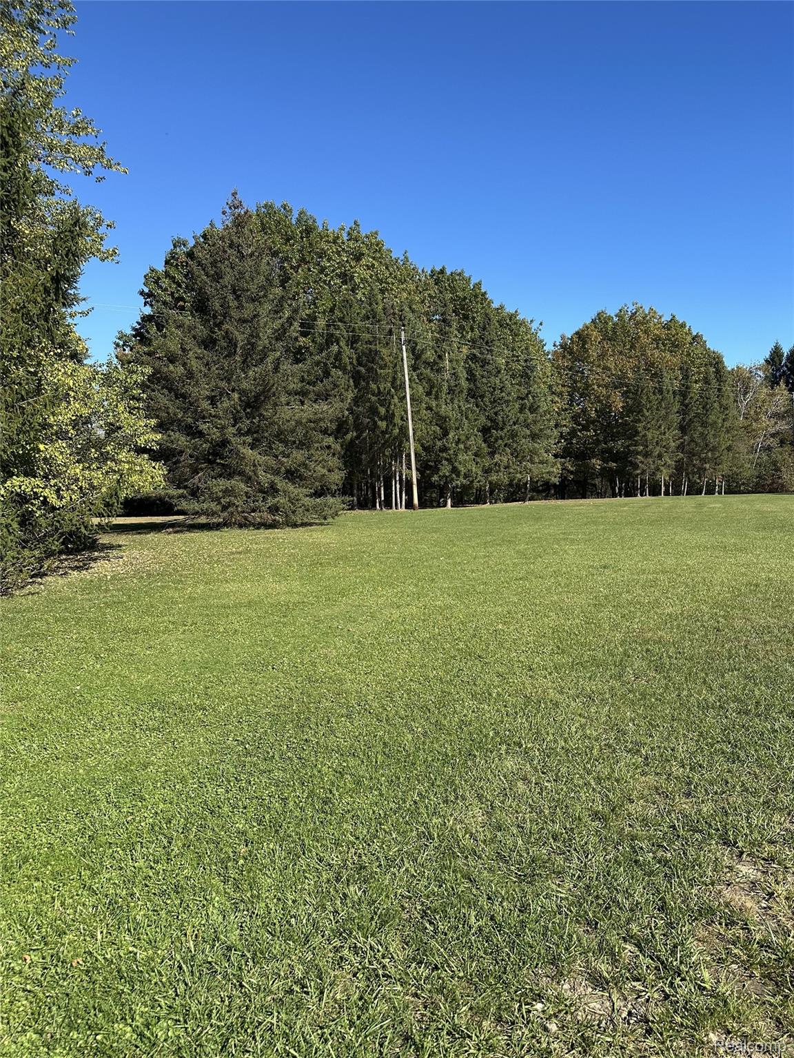 1161 7 Mile Road