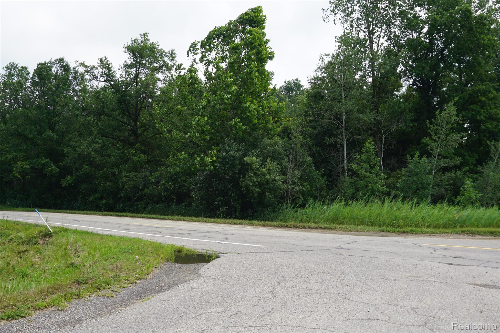 Sumpter Township, Michigan 48164, United States, ,Land,Active,186388