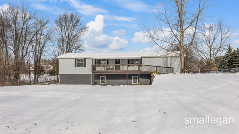 5393 15 Mile Road NE Courtland Township MI 49319