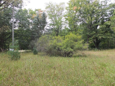 Tiny photo for 8786 US-31 S, Green Lake Township, MI 49637 (MLS # 78080074503)