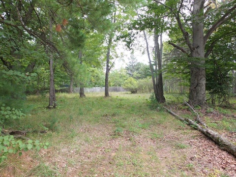 Tiny photo for 8786 US-31 S, Green Lake Township, MI 49637 (MLS # 78080074503)